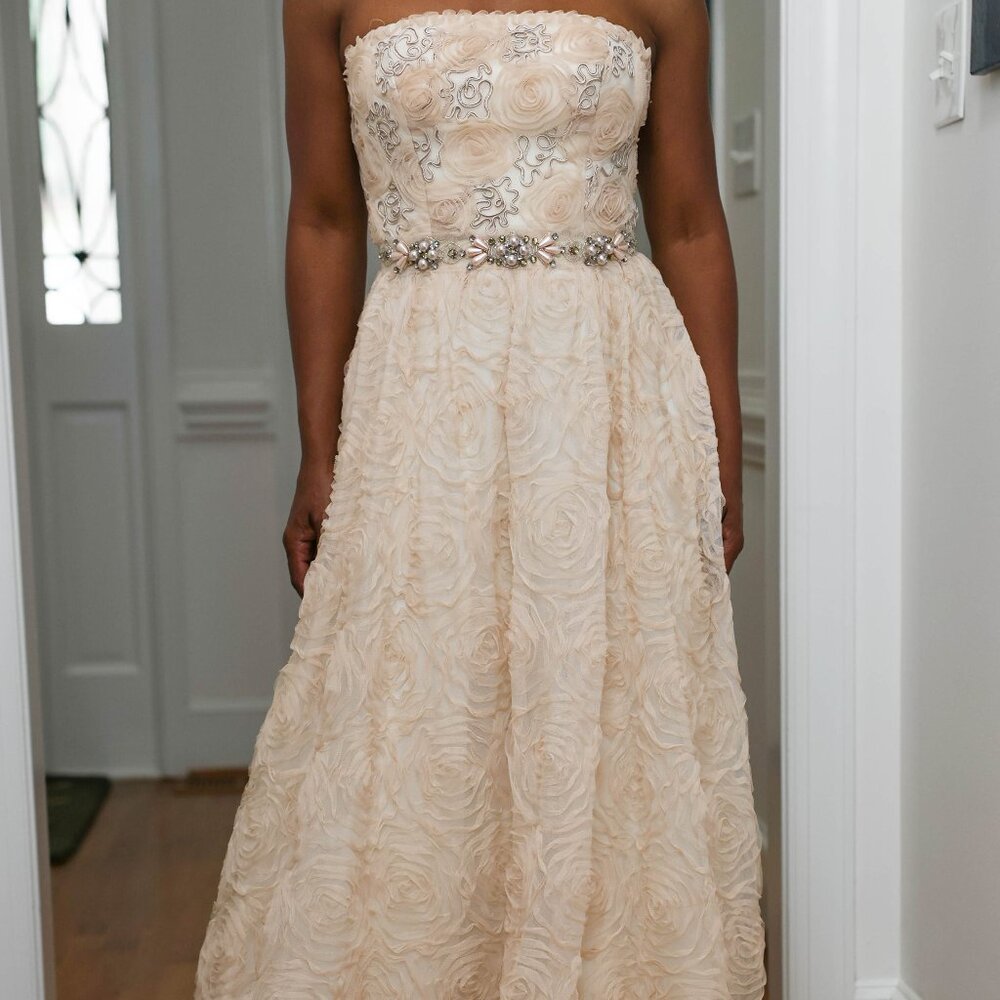 Adrianna Papell Gown Size 2
